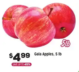 Grocery Outlet Gala Apples offer