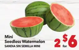 Vallarta Supermarkets Mini Seedless Watermelon / SANDIA SIN SEMILLA MINI offer