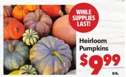 Vallarta Supermarkets Heirloom Pumpkins offer