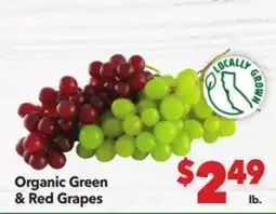 Vallarta Supermarkets Organic Green & Red Grapes offer