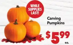 Vallarta Supermarkets Carving Pumpkins offer