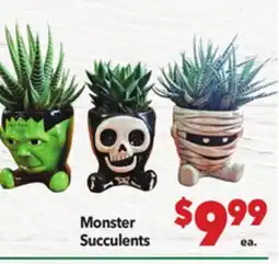 Vallarta Supermarkets Monster Succulents offer