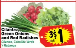 Superior Grocers Cilantro, Green Onions and Red Radishes offer