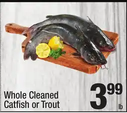 Super King Markets Whole Cleaned Catfi sh or Trout offer