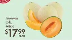 Smart & Final Cantaloupes offer