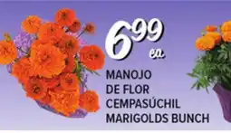 El Super Fresh MARIGOLDS BUNCH offer