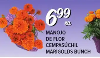 El Super Fresh MARIGOLDS BUNCH offer