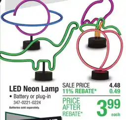 Menards LED Neon Lamp offer