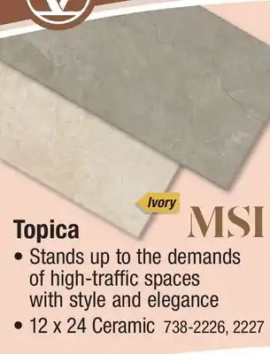 Menards Topica offer