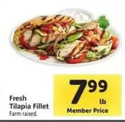 Safeway Fresh Tilapia Fillet offer