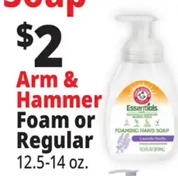 Ocean State Job Lot Arm & Hammer Foam or Regular offer