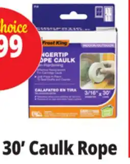 Ocean State Job Lot Frost King Indoor/Outdoor Fingertip Rope Caulk 3/16 x 30' offer