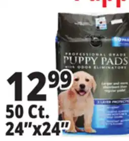Ocean State Job Lot 24x24 Puppy Pads with Odor Eliminators 50 Count offer