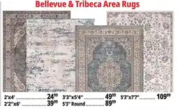 Ocean State Job Lot Tribeca Rugs offer