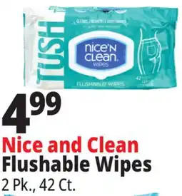 Ocean State Job Lot Nice'n Clean Flushable Wipes 42 ct offer