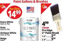 Ocean State Job Lot Paint Gallons & Brushes offer