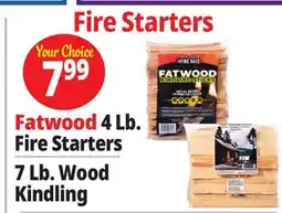 Ocean State Job Lot Fatwood Firestarter offer