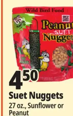 Ocean State Job Lot C&S Sunflower Suet Nuggets 27 oz offer