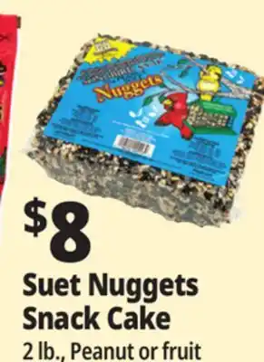 Ocean State Job Lot C&S Songbird Snak with Peanut Suet Nuggets 32 oz offer