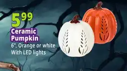 Ocean State Job Lot Ceramic Pumpkin offer