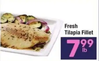 Fresh Tilapia Fillet