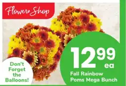 ACME Fall Rainbow Poms offer
