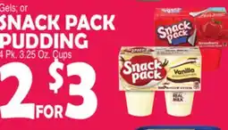 Bravo Supermarkets SNACK PACK PUDDING offer