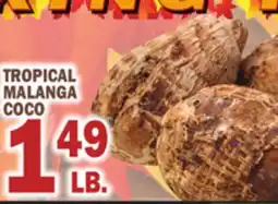 Bravo Supermarkets TROPICAL MALANGA COCO offer