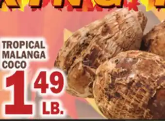 Bravo Supermarkets TROPICAL MALANGA COCO offer