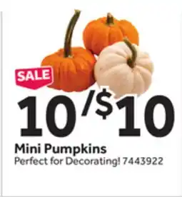 Stop&Shop Mini Pumpkins offer
