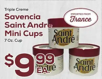 DeCicco & Sons Savencia Saint Andre Mini Cups offer