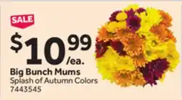 Stop&Shop Big Bunch Mums offer