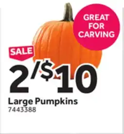 Stop&Shop Large Pumpkins offer