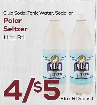 DeCicco & Sons Polar Seltzer offer