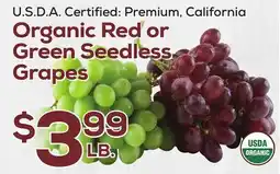 DeCicco & Sons Organic Red or Green Seedless Grapes offer