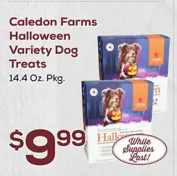 DeCicco & Sons Caledon Farms Halloween Variety Dog Treats offer