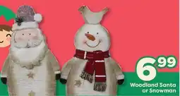 Weis Markets Woodland Santa or Snowman offer