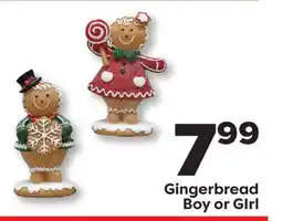 Weis Markets Gingerbread Boy or GIrl offer