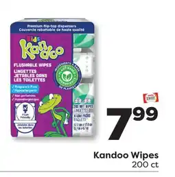 Weis Markets Kandoo Wipes offer