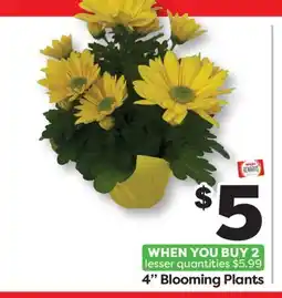 Weis Markets 4 Blooming Plants offer