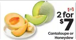Weis Markets Cantaloupe or Honeydew offer