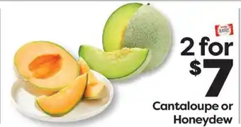 Weis Markets Cantaloupe or Honeydew offer