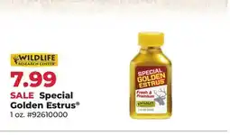 Runnings Special Golden Estrus offer