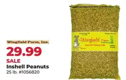 Runnings Inshell Peanuts offer