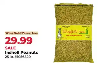 Runnings Inshell Peanuts offer