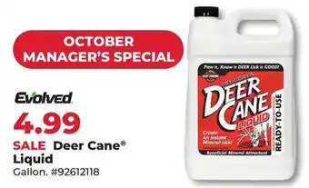 Runnings Deer Cane offer