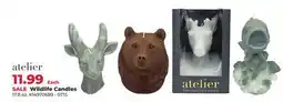Runnings Wildlife Candles offer