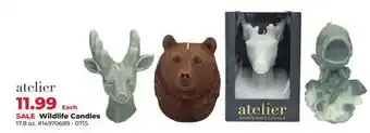 Runnings Wildlife Candles offer