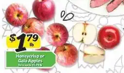 Winn Dixie Honeycrisp or Gala Apples offer