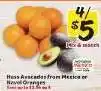 Winn Dixie Hass Avocados from Mexico or Navel Oranges offer